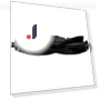 Roller Brushes Replacement Accessories — Vacuum Attachments, Lubluelu