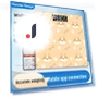 Smart Bluetooth Body Scale — Weight Management Tools, Deals Supermarket
