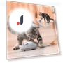 Smart Electric Mouse Toy — Cat Playthings, AIMEI Pet Tools