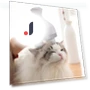 Smart Pet Massage Comb — Combs, Jiaqiinfee