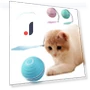 Automatic Agile Moving Cat Ball — Balls, ZJzhide