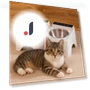 Dust-proof Smart Cat Bowl — Smart Pet Feeders, Zhonghefu