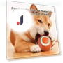 Electric Rolling Ball Dog Toy — Cat Playthings, liianheng