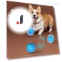 Interactive Rolling Cat Ball Toy — Cat Playthings, sngbohb