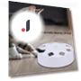 Intelligent Bite Resistant Automatic Cat Teaser — Cat Playthings, Pet park