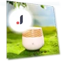 Mini Air Humidifier with Essential Oil Diffuser — Diffusers, Hobbies mall