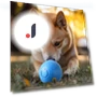 Self-driving Jumping Ball — Automatic Launchers, Pet park