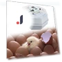 Smart Automatic Egg Incubator — Egg Trays, Colorful summer