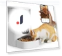 Automatic Feeder for Cats — Smart Pet Feeders, AniWorld