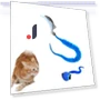 Automatic Training Ball — Cat Playthings, SHshuaizhen