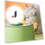 Automatic Water Fountain for Pets — Fountains, Pet park