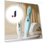 Dog Paw Trimmer with Powerful Vacuum — Claw Care, Pet park