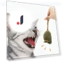 Squeaky Plush Mice for Cats — Mice & Animals, Pet park