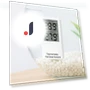Digital LCD Water Temperature Gauge — Thermometers, Qingzhichen