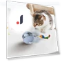 Infrared Interactive Rolling Cat Toy — Cat Playthings, Boyuan
