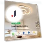Smart Ceiling Fan Light — Ceiling Fans, ElectroCN