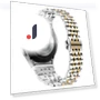 Stainless Steel Replacement Band — Bands, Smartwatch 2025