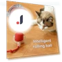 Interactive Cat Toy Ball — Cat Playthings, Wotypea