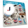 Interactive Cat Toy with Tail — Cat Playthings, Hong Hollyland
