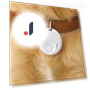 Message Reminder Pet Smart GPS Tracker Mini Pet Locator Portable Find My Device Tracker Backpack — Location Tracking Devices, Cmjyrtye