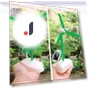 Solar Robot Toy Kit 6-in-1 — Solar Power, Sports Accessory