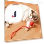 Automatic Electric Rolling Ball — Cat Playthings, Shanylty