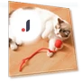 Automatic Electric Rolling Ball — Cat Playthings, Shanylty