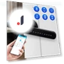 Biometric Door Lock with Security Function — Biometric Security, The Romantics