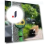 Electronic Watering Controller — Controllers, EonX