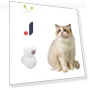 Interactive Smart Caterpillar Toy — Interactive Animal Companions, Guan Erye