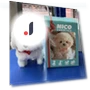 Robotic Puppy — Interactive Animal Companions, FastStar