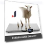 Smart Pet Scales — Baby Scales, Discount Domain