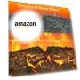 Превью Electric Fireplace Stove Heater — Electric Heating Solutions, Winado