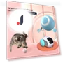 Interactive Cat Ball — Cat Playthings, Free carnival