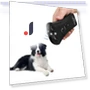 Ultrasonic Dog Bark Deterrent — Sonic Deterrents, Tautoparts