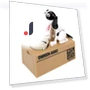 Automated Money Box — Savings & Piggy Banks, Auto Home Solutions