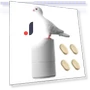 Automatic Soap Dispenser — Care Dispensers, Pavo