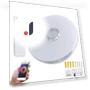 RGB LED Ceiling Light with APP Control — Overhead Lighting, Seahorse Home