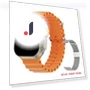 Ultra Series 8 Smart Watch — Smartwatches, Zodvboz