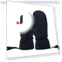 Winter Ski Gloves with Touchscreen — Gloves & Mittens, MUQZI