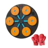 Smart Boxing Target — Boxing Training Gear, Binchi Keji Travel