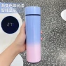 Smart Thermos with LED Temperature Display — Thermoses, Binchi Fitness