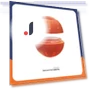 Interactive Rolling Ball for Pets — Balls, the BAY