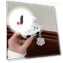 Protective Case with Tag — Protective Cases, TAOMall