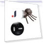 Remote Control Spider Toy — Interactive Figures & Robots, Talos Party Carnival