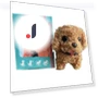 Realistic Robotic Puppy Toy — Interactive Animal Companions, Henglinpar
