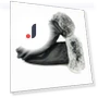 Women's Leather Gloves with Touchscreen — Arm Warmers, ZF Be