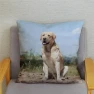 Smart Labrador Retriever Pillow Cover — Pillow Covers, zheyu