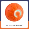 Smart Toy Ball for Dogs — Interactive Animal Companions, Elberta