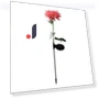Solar Light LED Chrysanthemum Flower Garden Light — Garden Illumination, Smart Mouse